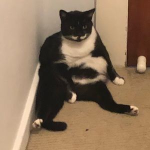 Meet your Posher, Laura